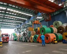 关于太狠了！赛前辽宁本钢刷新队史纪录西亚卡姆在DWG比赛中出色防守，罗马加时末段外线爆发的信息